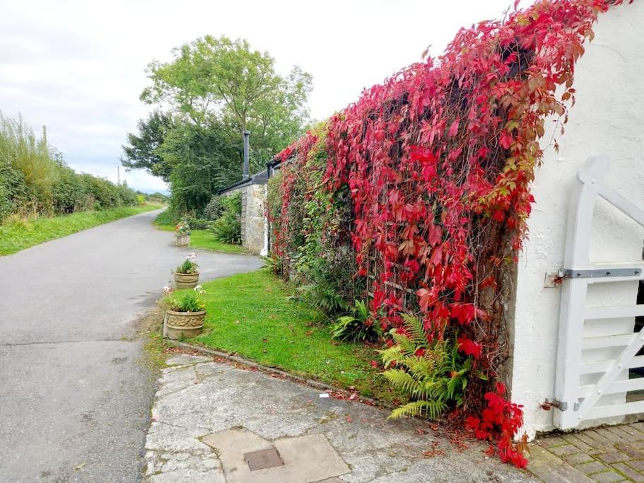 Rhos Y Bel Cottage Angelsey Llangadwaladr  Exterior foto