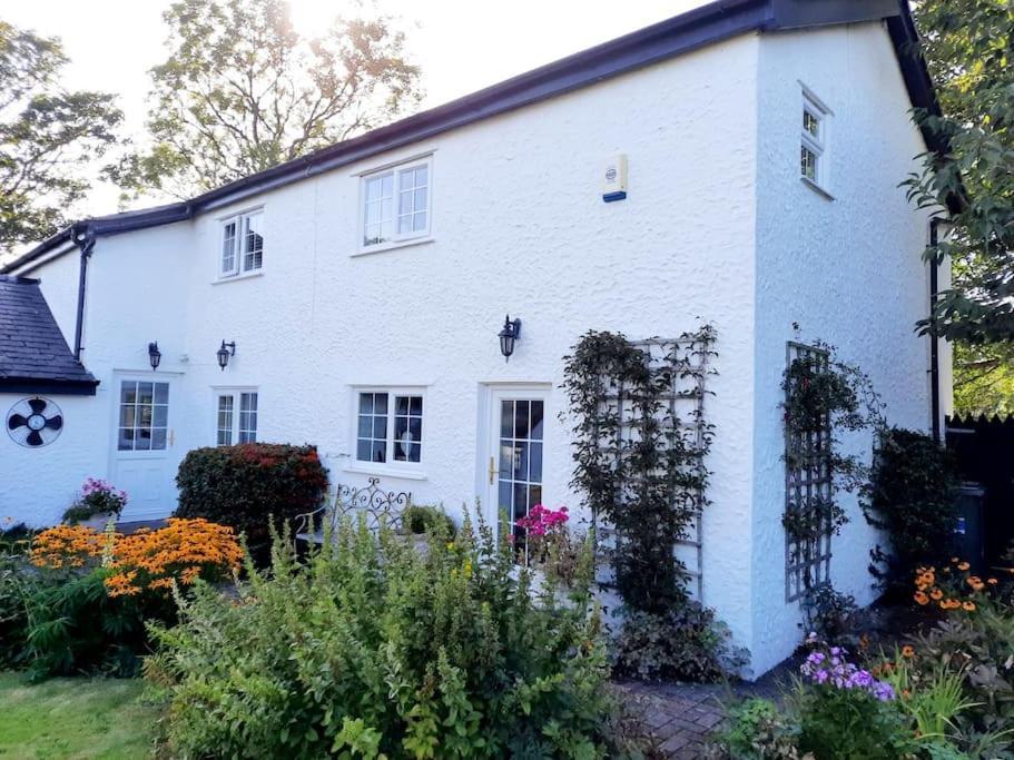 Rhos Y Bel Cottage Angelsey Llangadwaladr  Exterior foto